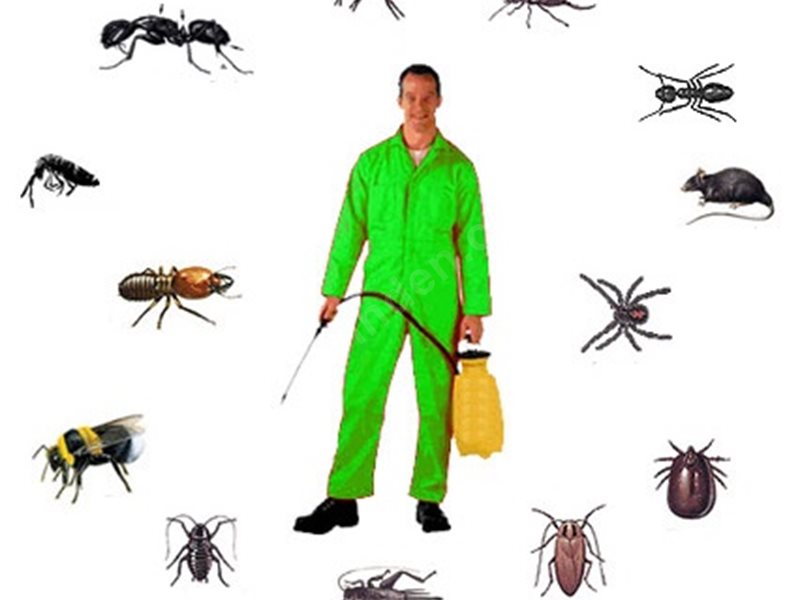 Yağlıdere Böcek İlaçlama