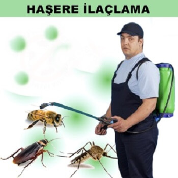 Yağlıdere Böcek İlaçlama